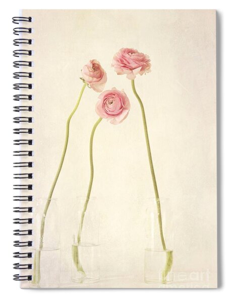 Renoncules Spiral Notebook