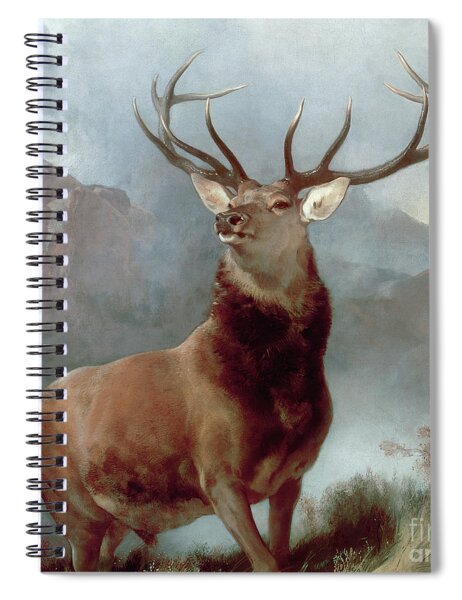 Deer Spiral Notebooks for Sale - Fine Art America
