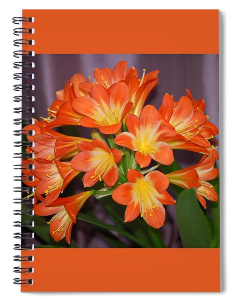 Spiral Notebook featuring the photograph Clivia Blossoms by Nancy Ayanna Wyatt