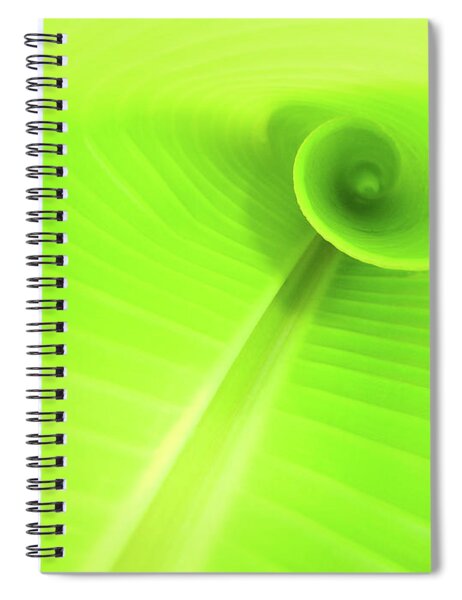 A Blank Sketch Pad With Curled Up Page by Caspar Benson
