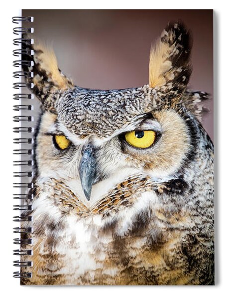 Notebook Screech Owls Michael Roger 