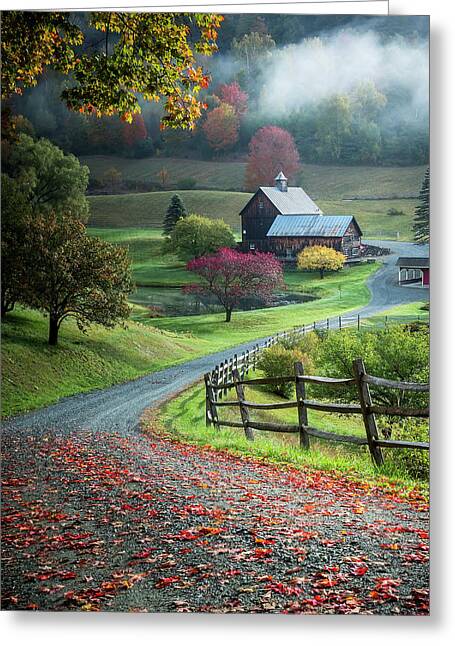 Stunning Photography - 1X Fall Greeting Cards
