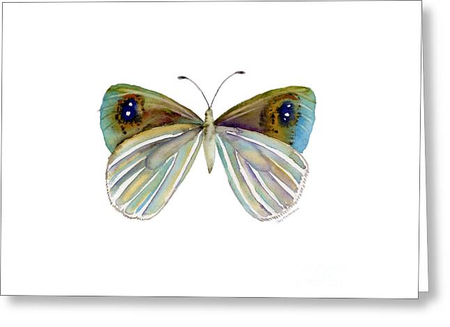 Lepidoptera Greeting Cards