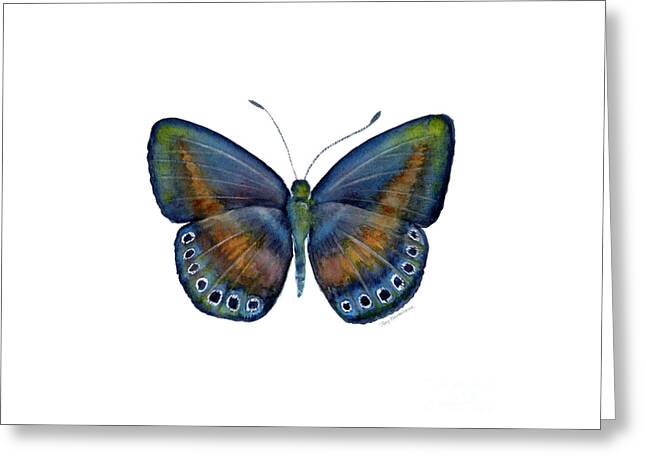 Dark Butterfly Greeting Cards