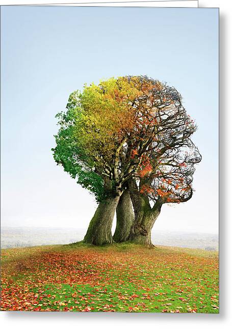 Genealogy Greeting Cards for Sale - Fine Art America