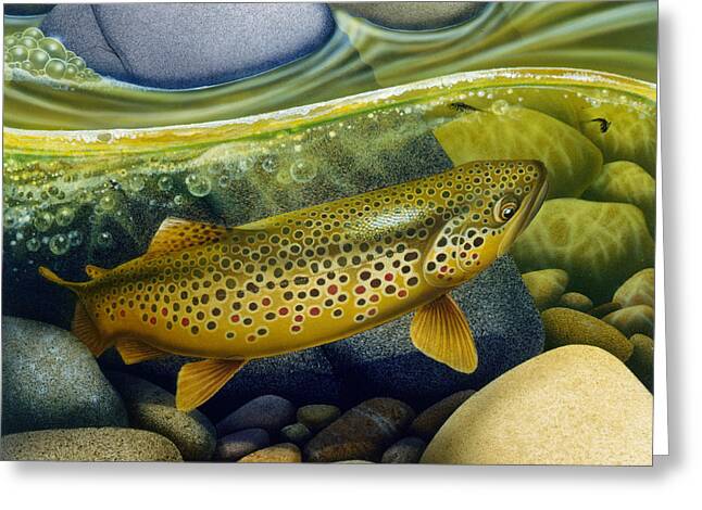 Brown Trout Greeting Cards