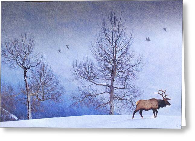 Bull Elk On Hillside With Aspen Painting by R christopher Vest