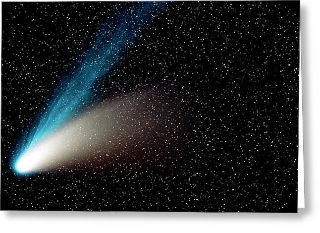 Comet Hale-bopp Greeting Card