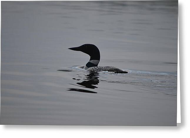 Loon Pics Greeting Cards