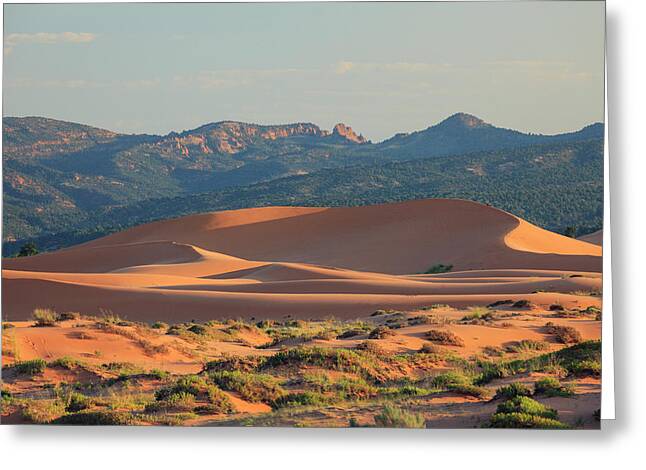 Coral Pink Sand Dunes State Park Greeting Cards