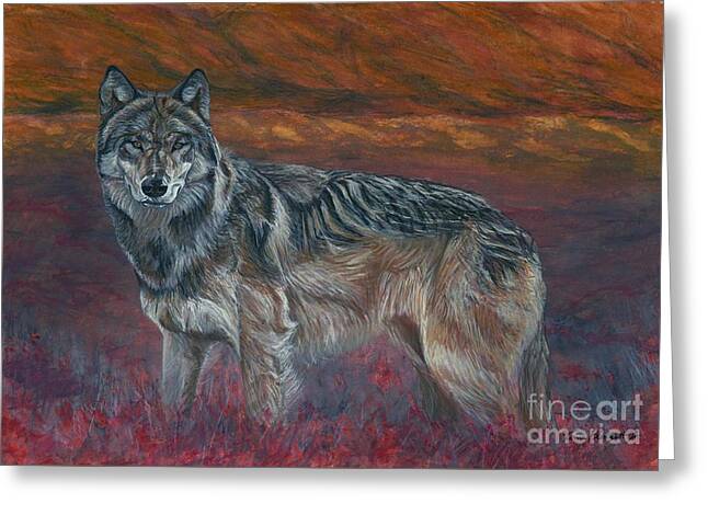 Timber Wolf Pics Greeting Cards