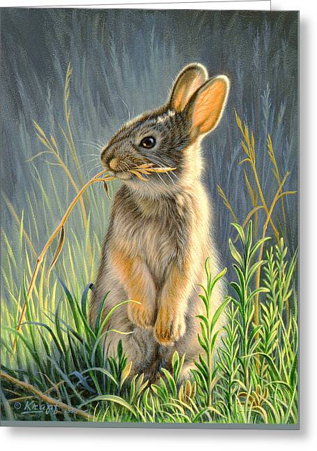 Cottontail Rabbit Greeting Cards