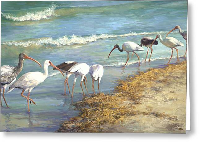 Ibises Greeting Cards