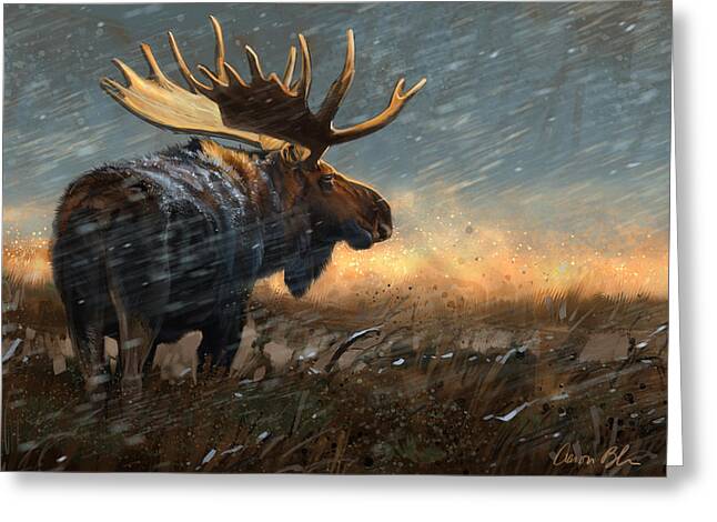 North American Wildlife Digital Art Greeting Cards