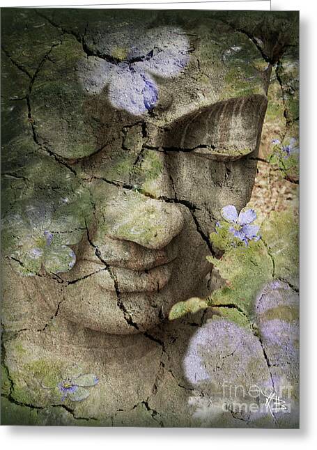 Serene Stone Buddha Amid Floral Cracks Greeting Card