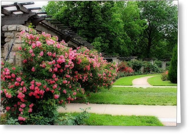 Loose Park Rose Garden Photograph By Elizabeth Sullivan