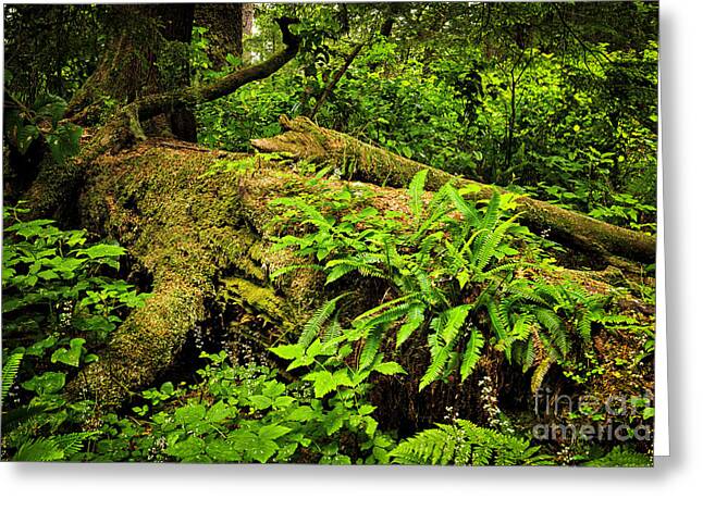 Pacific Rim National Park Greeting Cards