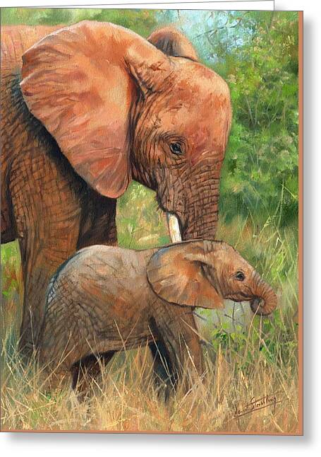 African Bush Elephant Greeting Cards