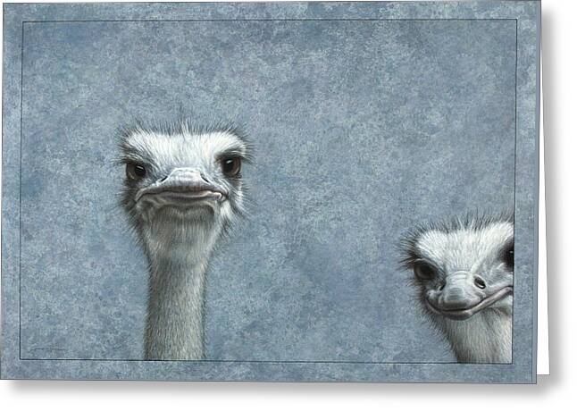 Ostrich Greeting Cards
