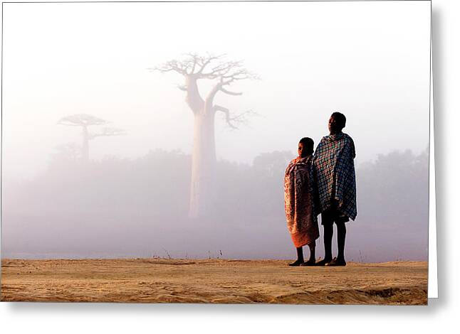 Baobab Photos Greeting Cards