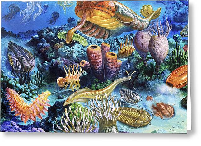 Early Cambrian Greeting Cards
