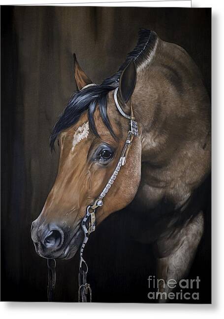 Equine Portraits Greeting Cards