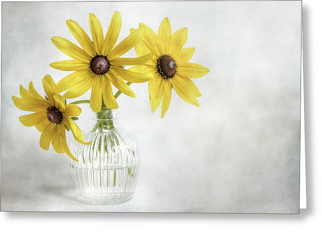 Designs Similar to Rudbeckia by Mandy Disher