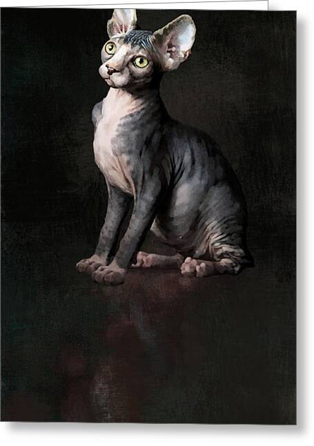 Sphynx Cat Portrait Mixed Media Greeting Cards
