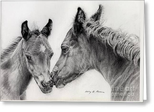 Two Horses Drawings Greeting Cards