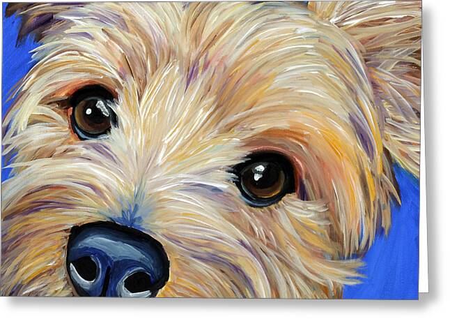Designs Similar to Yorkshire Terrier