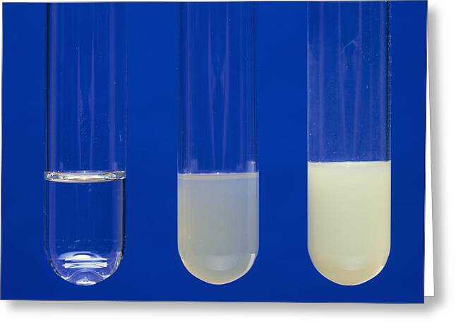 dilute ammonia solution preparation