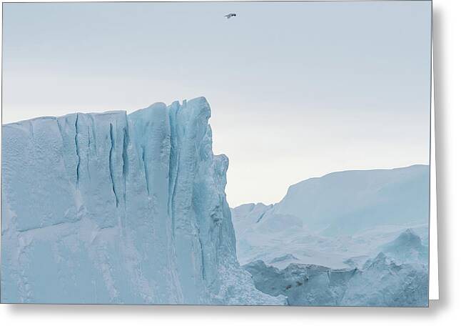 Designs Similar to Kangia Iceberg by Janet Burdon