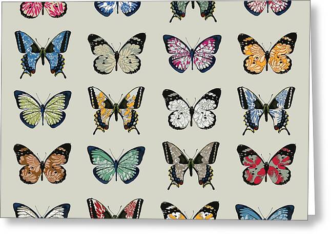 Insect Collection Greeting Cards