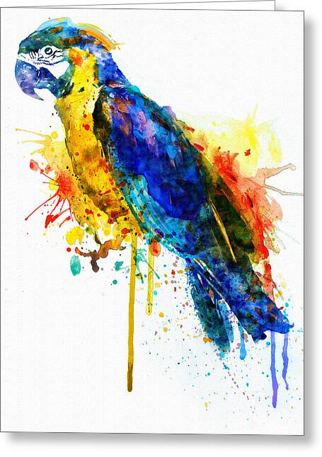 Parrot Watercolor Mixed Media by Marian Voicu