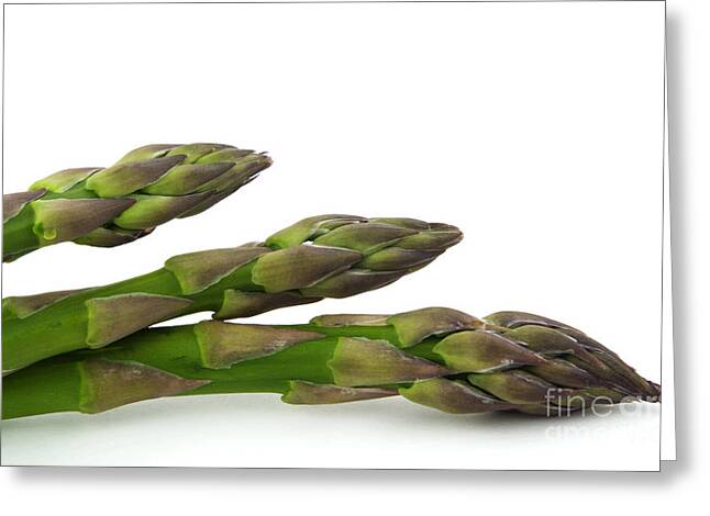 Asparagus Greeting Cards