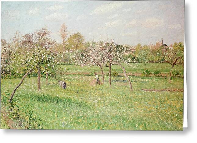 Designs Similar to Apple Trees at Gragny