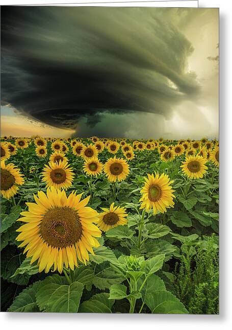 Tornado Weather Greeting Cards