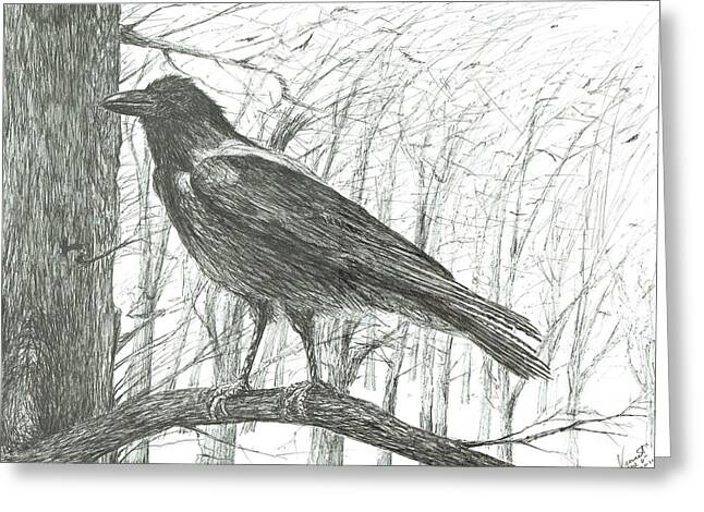 Crows In Autumn Drawings Greeting Cards