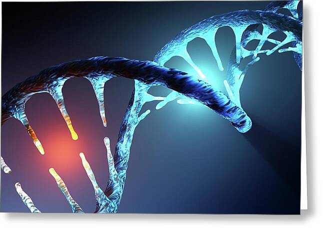 Dna Strand Greeting Cards