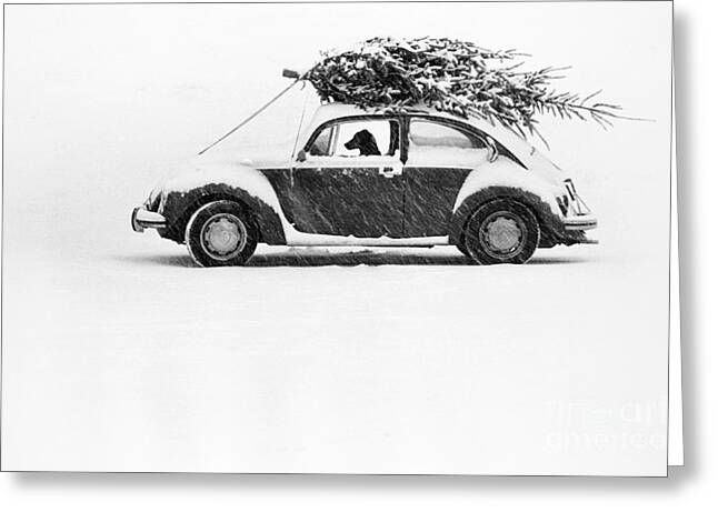 Cars In Winter Greeting Cards