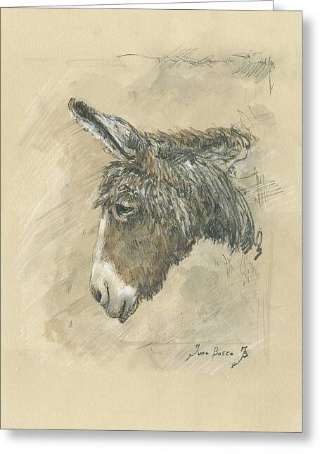 Donkey Watercolor Paintings Greeting Cards