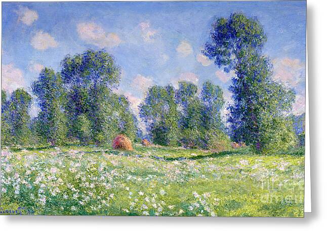 Hay Field Greeting Cards