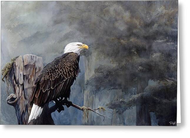American Bald Eagle Greeting Cards
