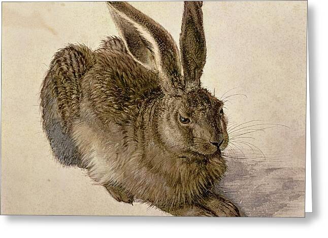 Hare Greeting Cards