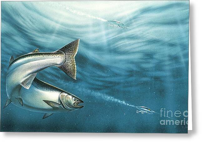 A550 Salmon Fish River Green Funky Animal Canvas Wall Art Large Picture Prints 