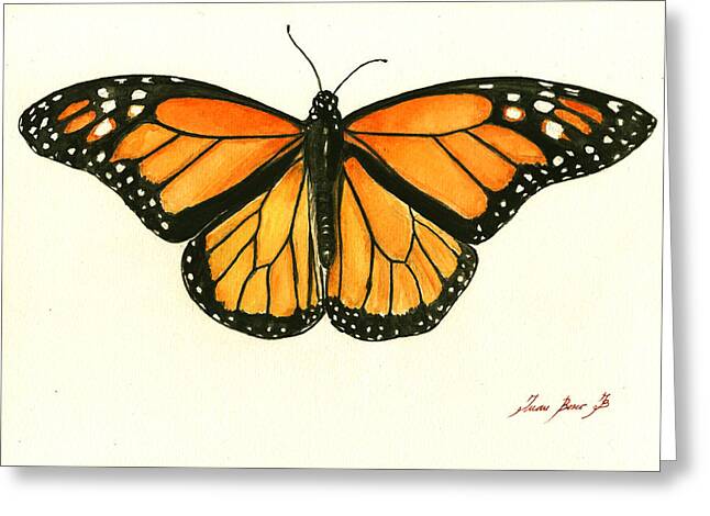 Fine Art Photo Note Cards Butterfly Set of 4