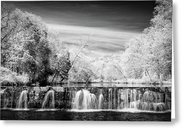 Infrared Film Greeting Cards