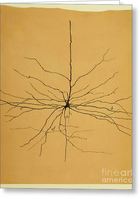 Neuron Greeting Cards
