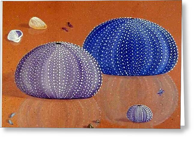 Sea Shells Greeting Cards