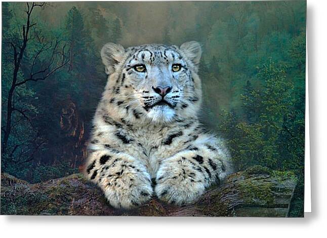 Designs Similar to Snow Leopard Cub by Gayle Berry